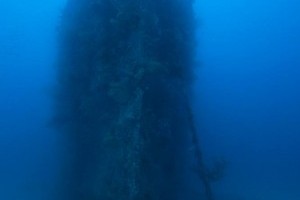 Get funding to conserve historic WWII Shipwrecks