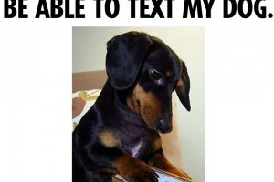 teach my dog too text back