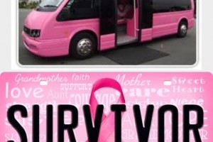 travel Australia in a pink bus raising much needed funds