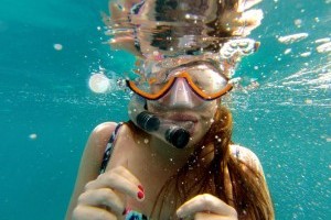 Swim with a Galapogos Turtle