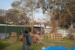 mow the yard finish building the carport and shed.