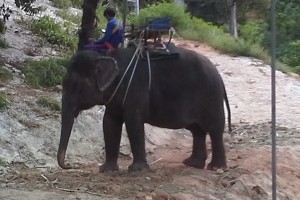 Work in an orphanage in Thailand