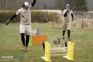 compete in Bunny Jumping in Sweden!