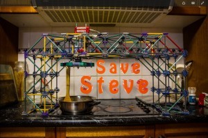 Save S.T.E.V.E