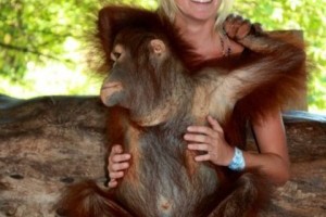 Go to Borneo and help orang-utans