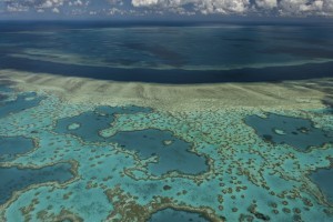 Explore the Great Barrier Reef