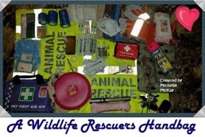 To run Wildlife Rescue workshops for the public.