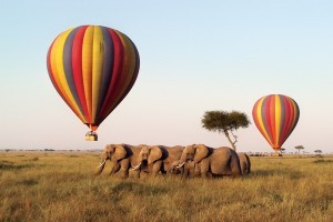 Hot air balloon over an African Safari