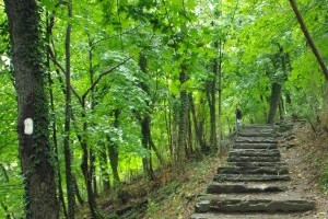 Hike the Appalachian Trail