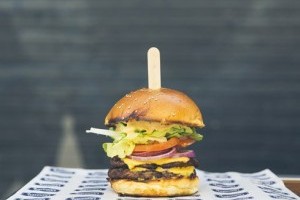 Create a Cheeseburger Blog