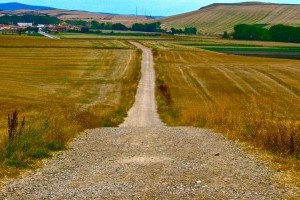 OneDay i will walk the entire Camino De Santiago