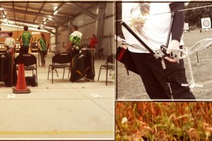 Participate in the Indoor Archery world Championships