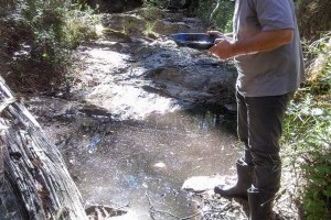 Out in the Australian Bush looking for gold.