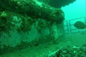 scuba dive the HMAS Hobart with my wife.