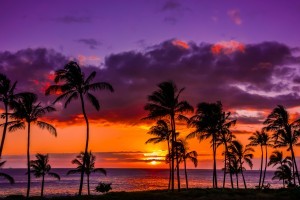 Travel to Hawaii