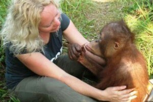 be working with saving orangutans.