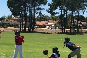 umpire a professional baseball game