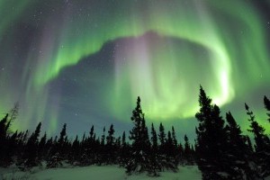 see the northern lights