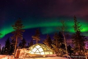 See the northern lights