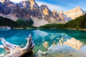 be geologist in Canada!