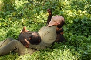 give Medical screening for orphans by raising funds through chimp tours