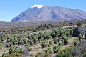 finish climbing mount Kilimanjaro