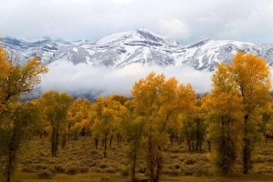 Visit my cousin in Jackson Hole, Wyoming and go skiing