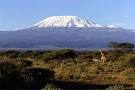 Climb Mt. Kilimanjaro