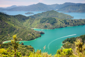 Hike Queen Charlotte Track, New Zealand