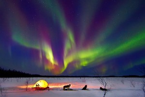 propose to my partner under the Northern Lights in Alaska