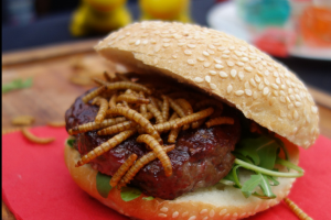 supply the world with the most scrumptious insect burgers!