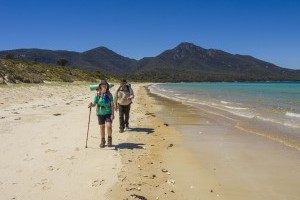 I will bushwalk in the Tasmanian wilderness…