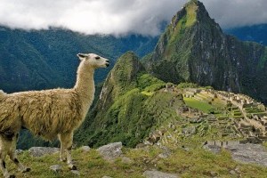 travel through South America