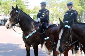 reach my dream of being a mounted police officer