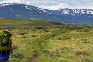 Hike through the Yellowstone National Park!!