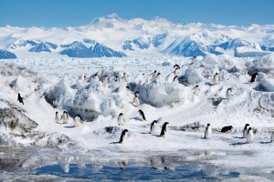 travel to Antarctica