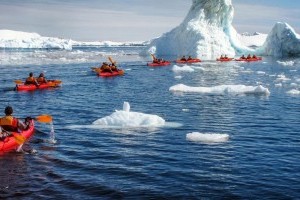 Go kayaking in the Antarctica