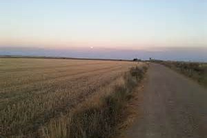 walk the Camino de Santiago