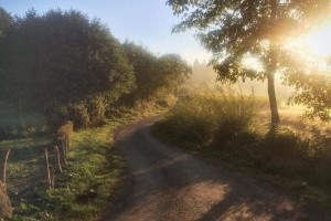 get lost and find my way on the 500 mile Camino