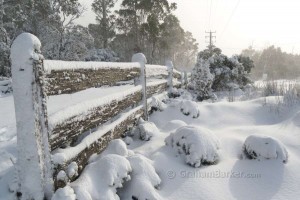 Roam Around Tas in Winter