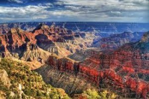 see the Grand Canyon