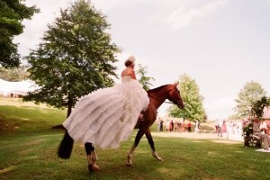 Marry On Horseback