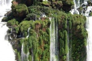 Travel to Iguazu falls