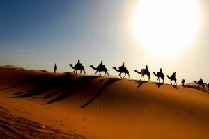 cross the Saraha Desert by Camel