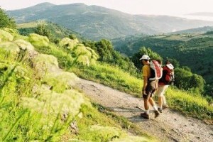 Walk the camino de santiago