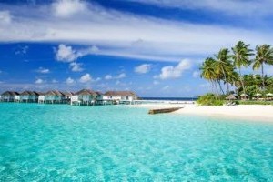 Take my wife to the Maldives