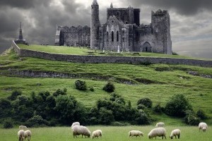 Visit my relatives in Ireland