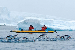 kayak in Antarctica