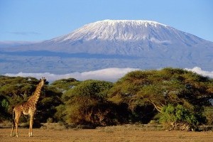 Climb Kilimanjaro to raise funds for Breast Cancer Care WA.