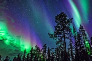 See the northen lights